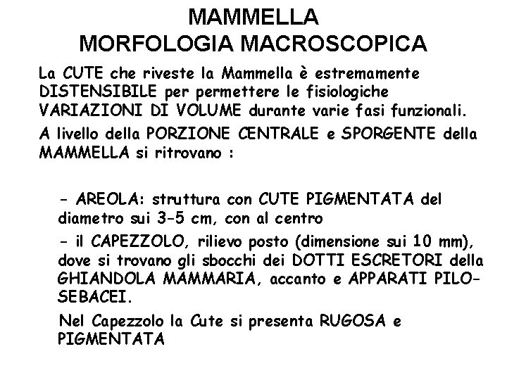 MAMMELLA MORFOLOGIA MACROSCOPICA La CUTE che riveste la Mammella è estremamente DISTENSIBILE permettere le