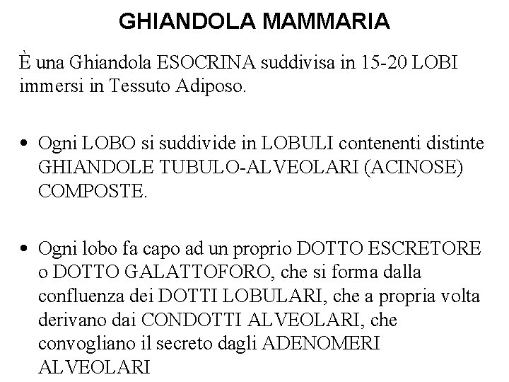 GHIANDOLA MAMMARIA È una Ghiandola ESOCRINA suddivisa in 15 -20 LOBI immersi in Tessuto