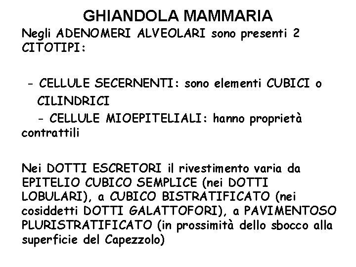 GHIANDOLA MAMMARIA Negli ADENOMERI ALVEOLARI sono presenti 2 CITOTIPI: - CELLULE SECERNENTI: sono elementi