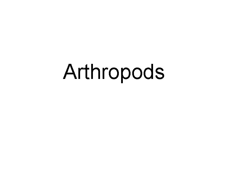 Arthropods 