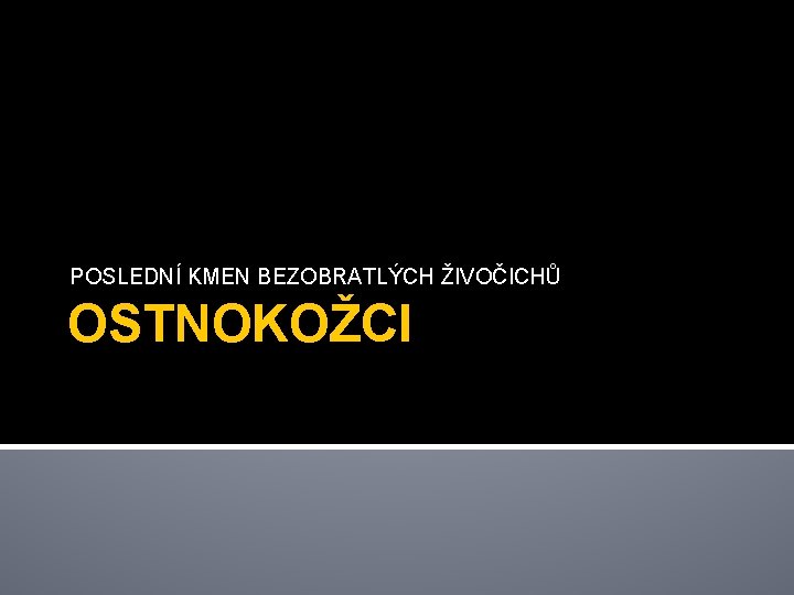 POSLEDNÍ KMEN BEZOBRATLÝCH ŽIVOČICHŮ OSTNOKOŽCI 