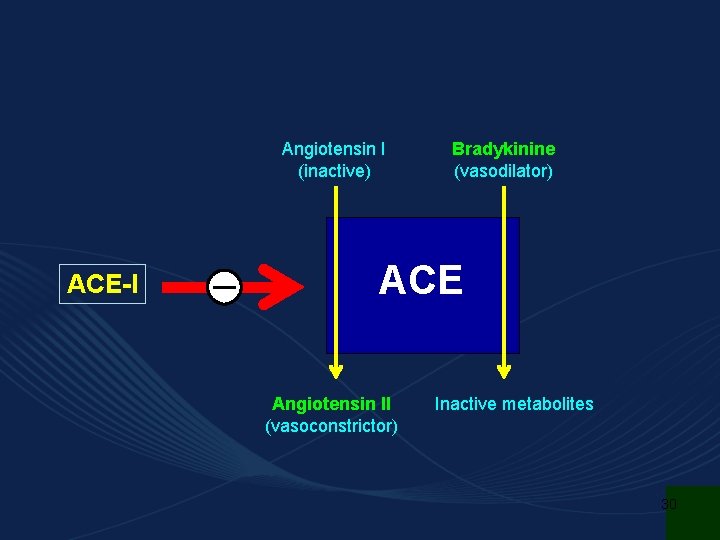 Angiotensin I (inactive) ACE-I Bradykinine (vasodilator) ACE Angiotensin II (vasoconstrictor) Inactive metabolites 30 