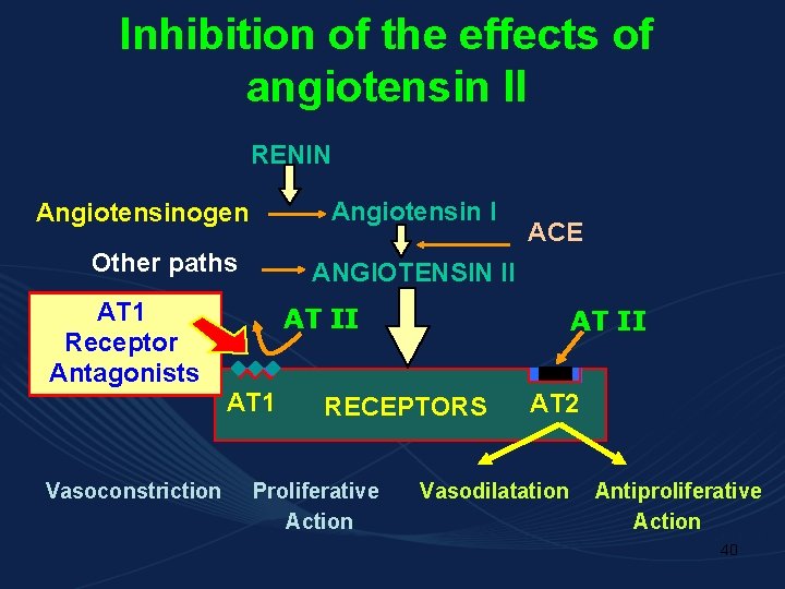 Inhibition of the effects of angiotensin II RENIN Angiotensin I Angiotensinogen Other paths AT