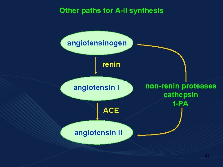 Other paths for A-II synthesis angiotensinogen renin angiotensin I ACE non-renin proteases cathepsin t-PA