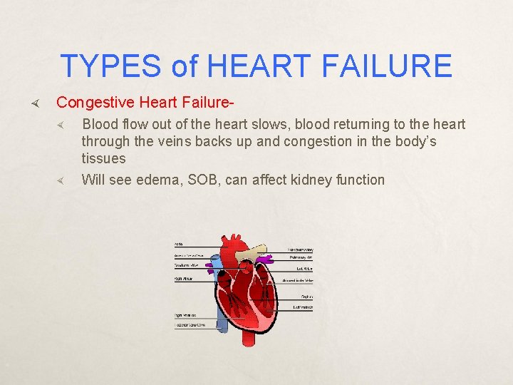 TYPES of HEART FAILURE Congestive Heart Failure Blood flow out of the heart slows,