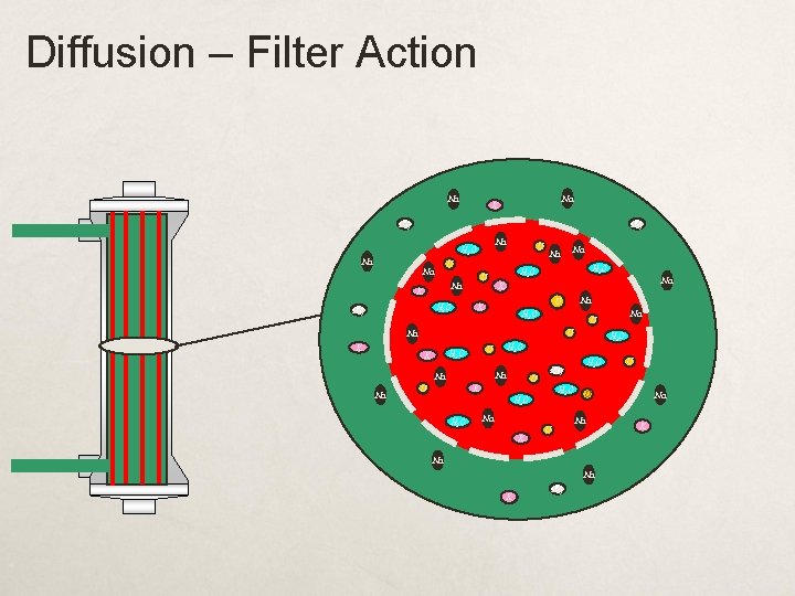 Diffusion – Filter Action Na Na K Mg Mg Na H 2 O Na