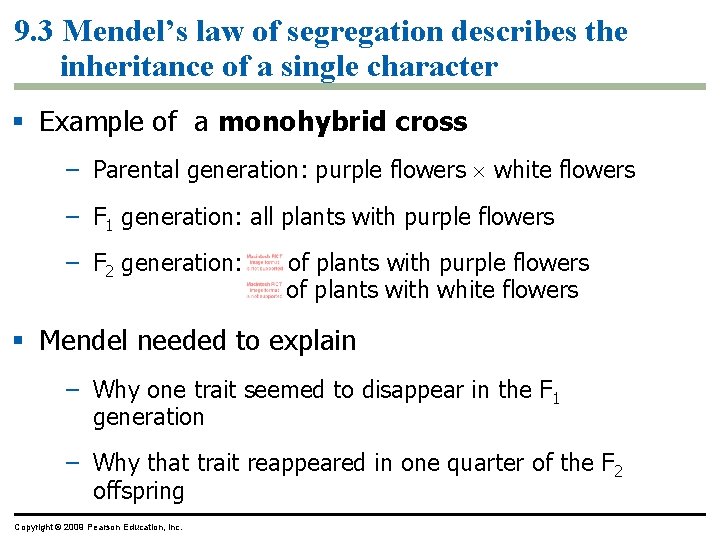 9. 3 Mendel’s law of segregation describes the inheritance of a single character Example