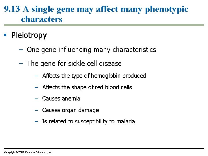 9. 13 A single gene may affect many phenotypic characters Pleiotropy – One gene