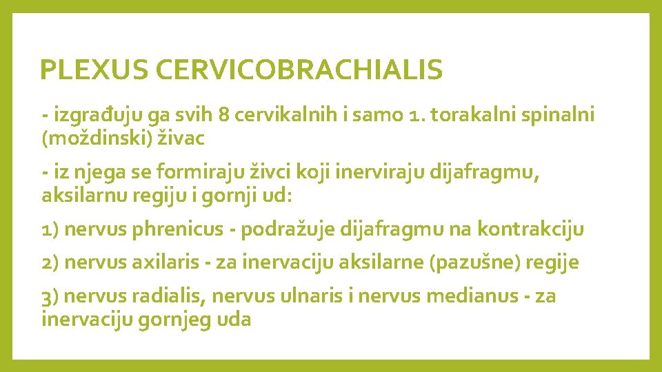 PLEXUS CERVICOBRACHIALIS - izgrađuju ga svih 8 cervikalnih i samo 1. torakalni spinalni (moždinski)