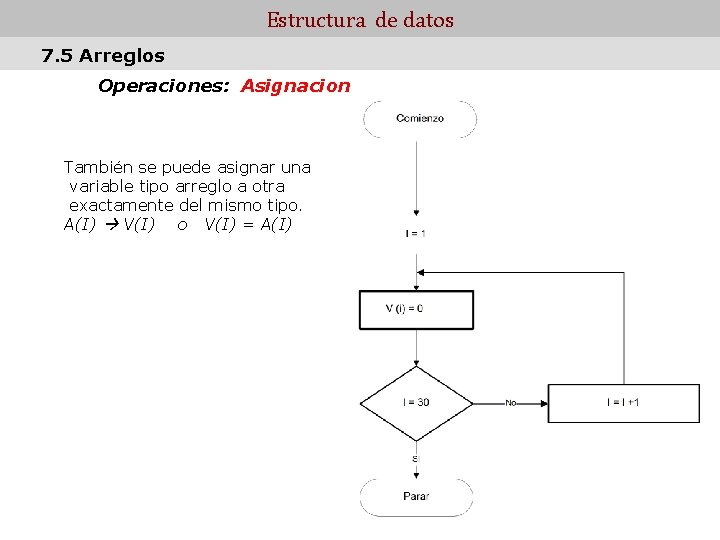Estructura de datos 7. 5 Arreglos Operaciones: Asignacion También se puede asignar una variable