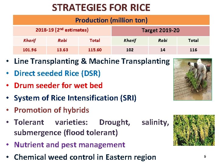 STRATEGIES FOR RICE Production (million ton) Target 2019 -20 2018 -19 (2 nd estimates)