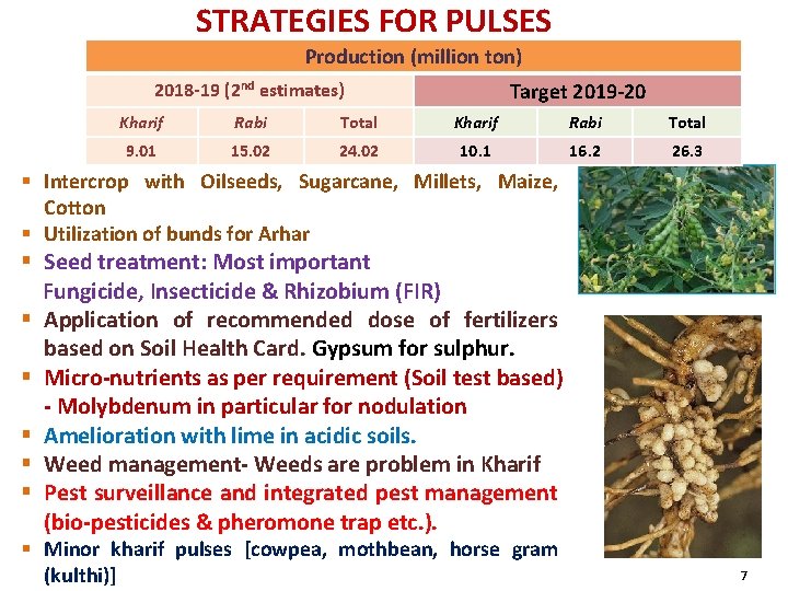 STRATEGIES FOR PULSES Production (million ton) Target 2019 -20 2018 -19 (2 nd estimates)