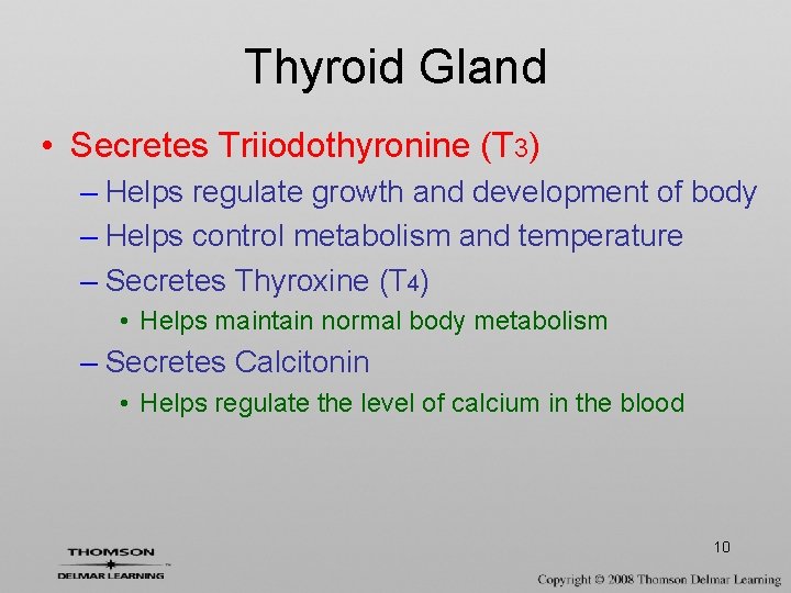 Thyroid Gland • Secretes Triiodothyronine (T 3) – Helps regulate growth and development of