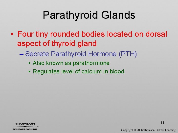 Parathyroid Glands • Four tiny rounded bodies located on dorsal aspect of thyroid gland