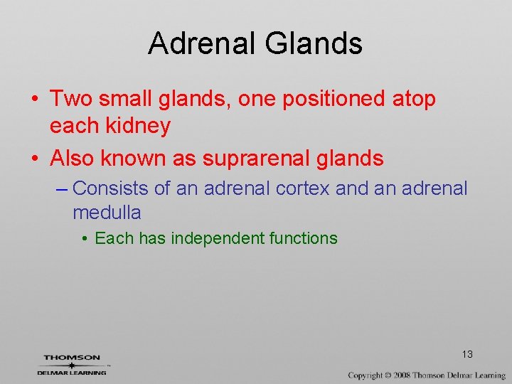 Adrenal Glands • Two small glands, one positioned atop each kidney • Also known