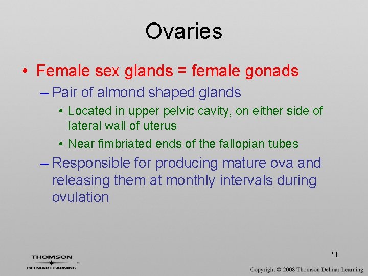 Ovaries • Female sex glands = female gonads – Pair of almond shaped glands