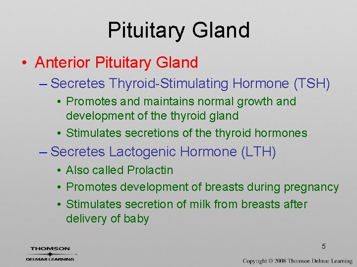 Pituitary Gland • Anterior Pituitary Gland – Secretes Thyroid-Stimulating Hormone (TSH) • Promotes and