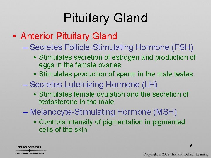 Pituitary Gland • Anterior Pituitary Gland – Secretes Follicle-Stimulating Hormone (FSH) • Stimulates secretion