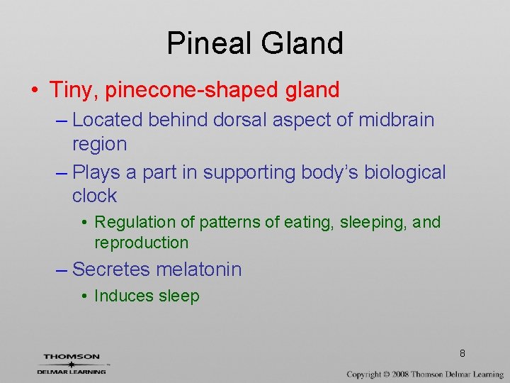 Pineal Gland • Tiny, pinecone-shaped gland – Located behind dorsal aspect of midbrain region