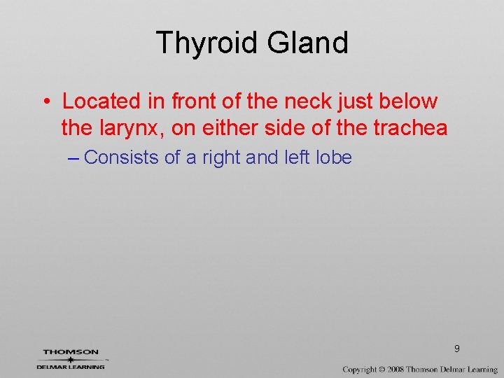 Thyroid Gland • Located in front of the neck just below the larynx, on