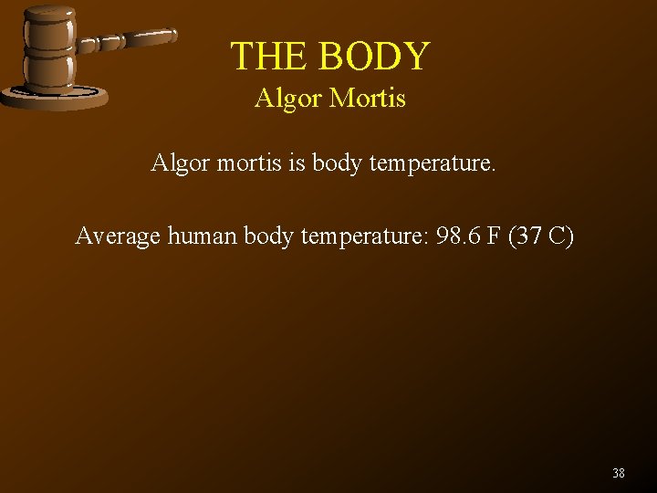 THE BODY Algor Mortis Algor mortis is body temperature. Average human body temperature: 98.