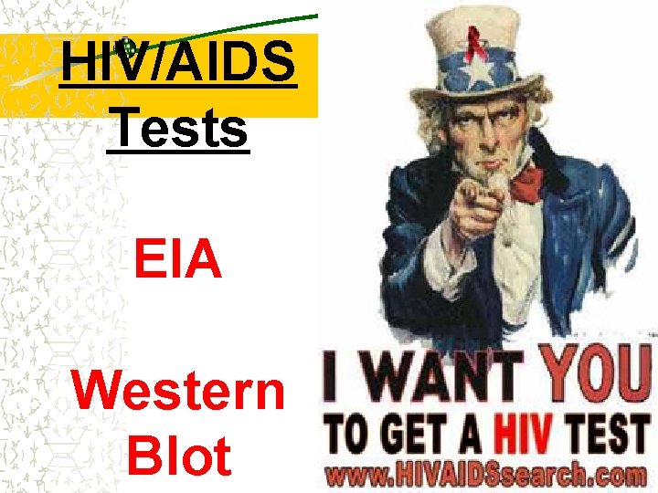 HIV/AIDS Tests EIA Western Blot 