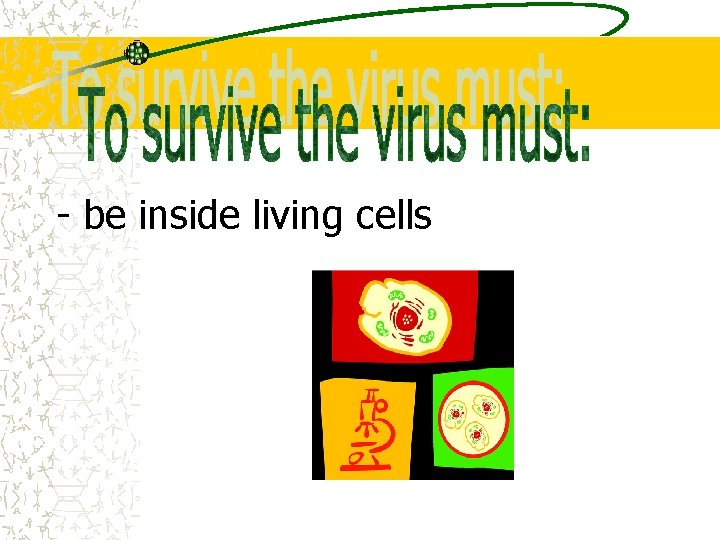 - be inside living cells 
