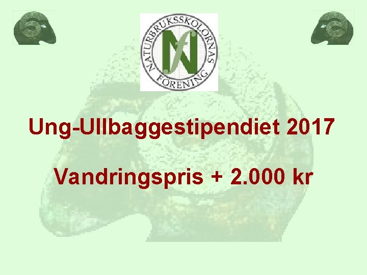 Ung-Ullbaggestipendiet 2017 Vandringspris + 2. 000 kr 