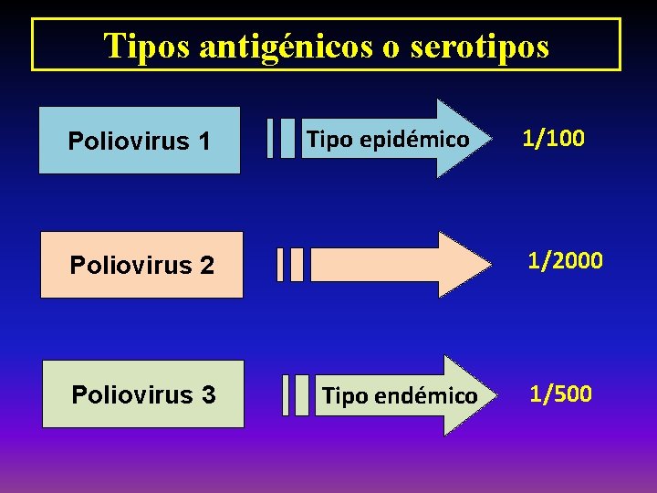 Tipos antigénicos o serotipos Poliovirus 1 Tipo epidémico 1/2000 Poliovirus 2 Poliovirus 3 1/100