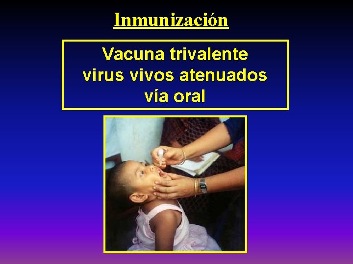 Inmunización Vacuna trivalente virus vivos atenuados vía oral 