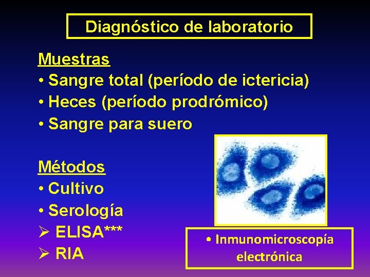 Diagnóstico de laboratorio Muestras • Sangre total (período de ictericia) • Heces (período prodrómico)