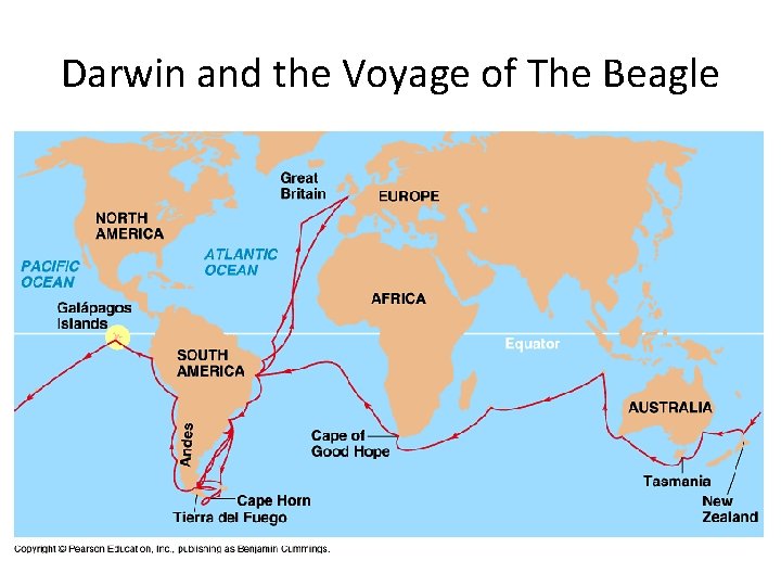Darwin and the Voyage of The Beagle Darwin and the Voyage of The Beagle