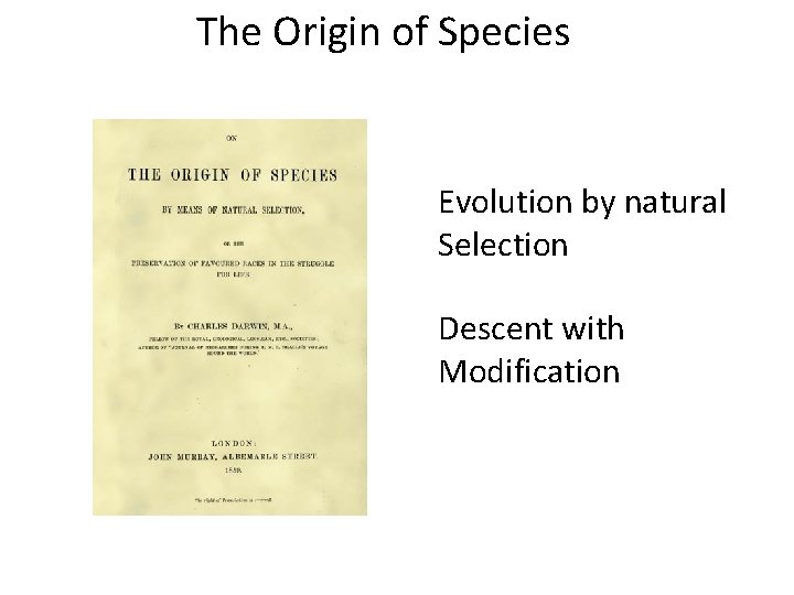 The Origin of Species Evolution by natural Selection Descent with Modification The Origin of Species Evolution by natural Selection Descent with Modification
