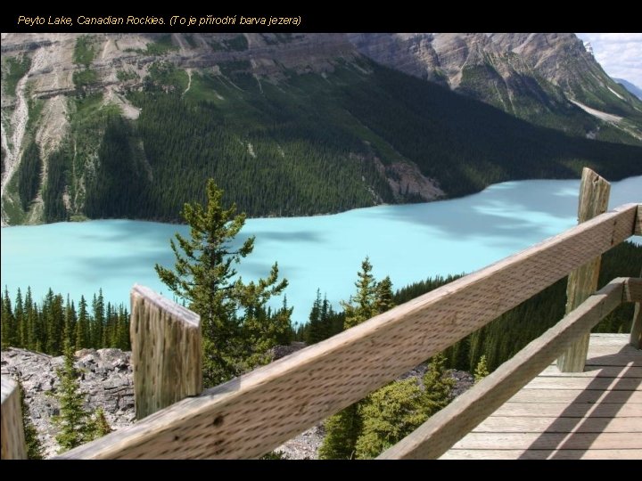 Peyto Lake, Canadian Rockies. (To je přírodní barva jezera) 
