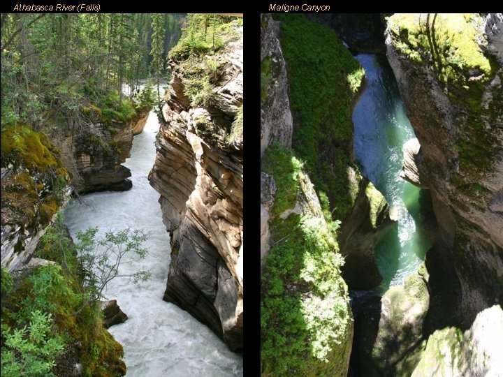 Athabasca River (Falls) Maligne Canyon 