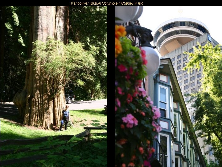 Vancouver, British Columbia ( i. Stanley Park) 