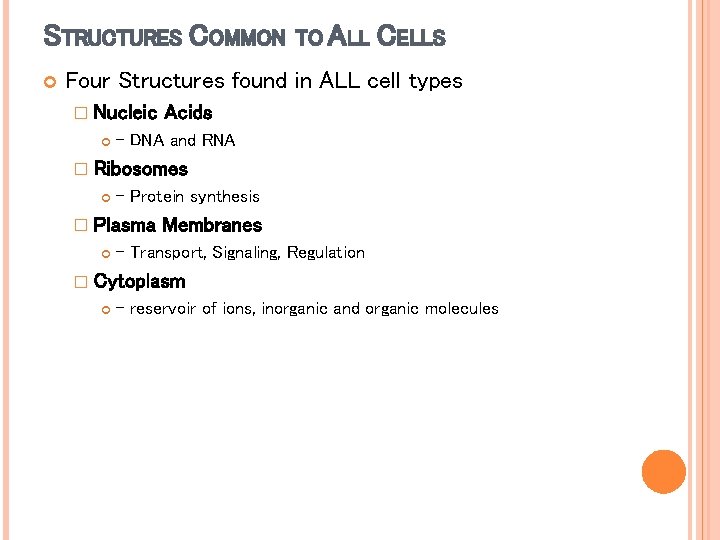 STRUCTURES COMMON TO ALL CELLS Four Structures found in ALL cell types � Nucleic STRUCTURES COMMON TO ALL CELLS Four Structures found in ALL cell types � Nucleic