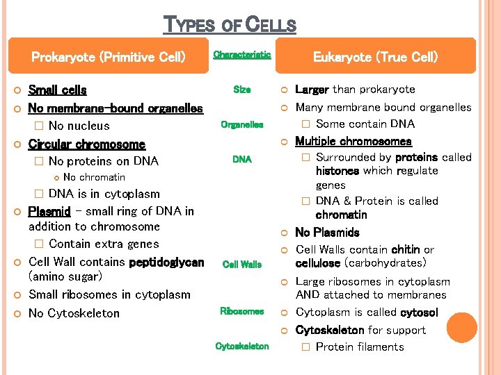 TYPES Prokaryote (Primitive Cell) Small cells No membrane-bound organelles � No nucleus Circular chromosome TYPES Prokaryote (Primitive Cell) Small cells No membrane-bound organelles � No nucleus Circular chromosome
