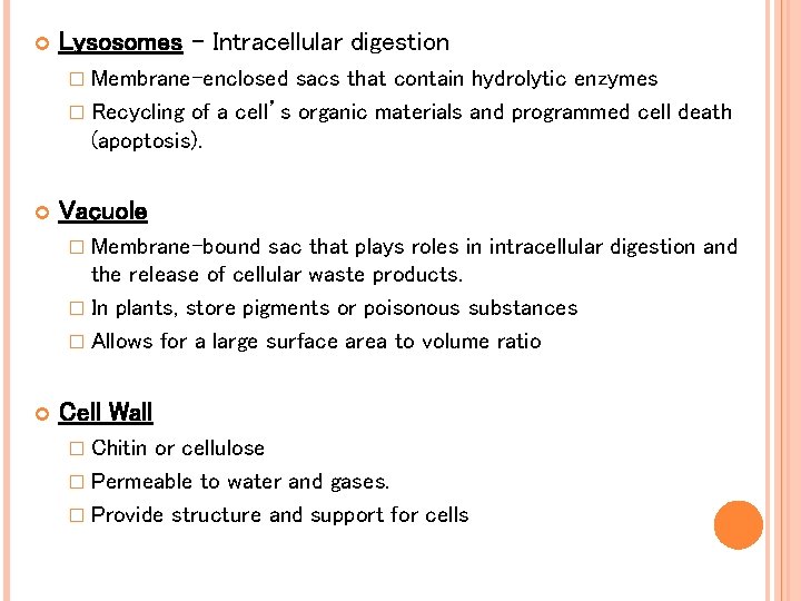 Lysosomes – Intracellular digestion � Membrane-enclosed sacs that contain hydrolytic enzymes � Recycling Lysosomes – Intracellular digestion � Membrane-enclosed sacs that contain hydrolytic enzymes � Recycling