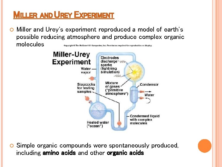 MILLER AND UREY EXPERIMENT Miller and Urey's experiment reproduced a model of earth's possible MILLER AND UREY EXPERIMENT Miller and Urey's experiment reproduced a model of earth's possible