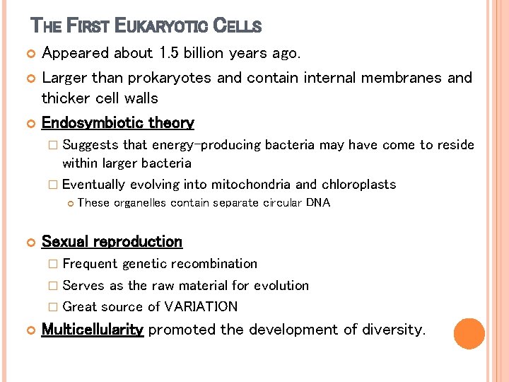 THE FIRST EUKARYOTIC CELLS Appeared about 1. 5 billion years ago. Larger than prokaryotes THE FIRST EUKARYOTIC CELLS Appeared about 1. 5 billion years ago. Larger than prokaryotes