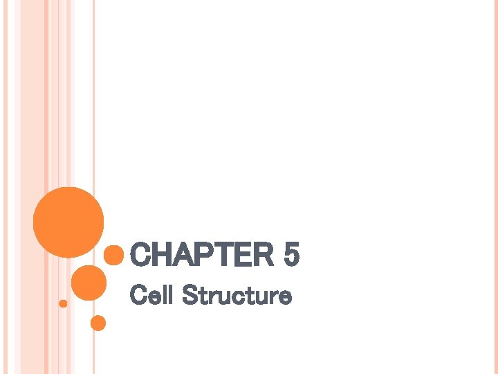 CHAPTER 5 Cell Structure CHAPTER 5 Cell Structure
