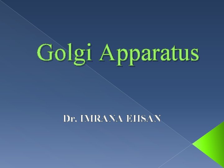 Golgi Apparatus Dr. IMRANA EHSAN 