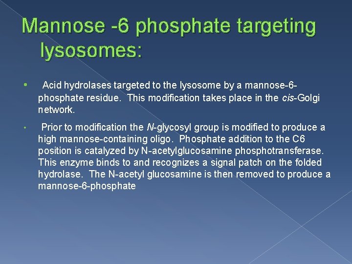 Mannose -6 phosphate targeting lysosomes: • Acid hydrolases targeted to the lysosome by a
