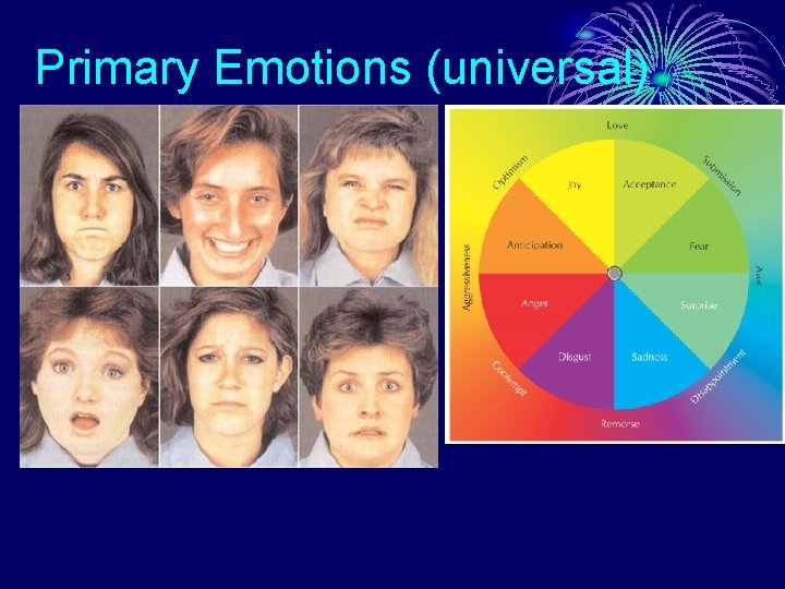 Primary Emotions (universal) 