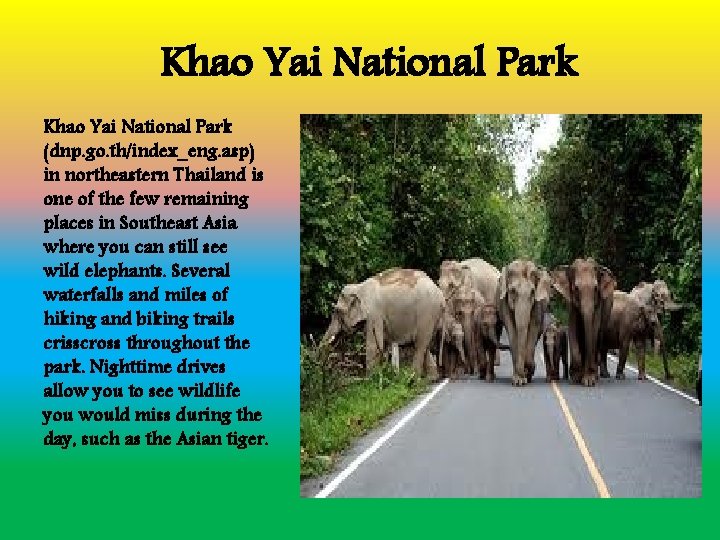 Khao Yai National Park (dnp. go. th/index_eng. asp) in northeastern Thailand is one of