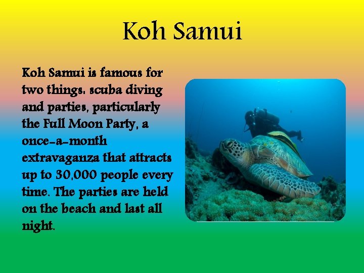 Koh Samui is famous for two things: scuba diving and parties, particularly the Full