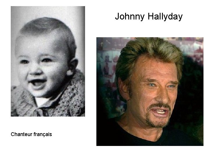 Johnny Hallyday Chanteur français 