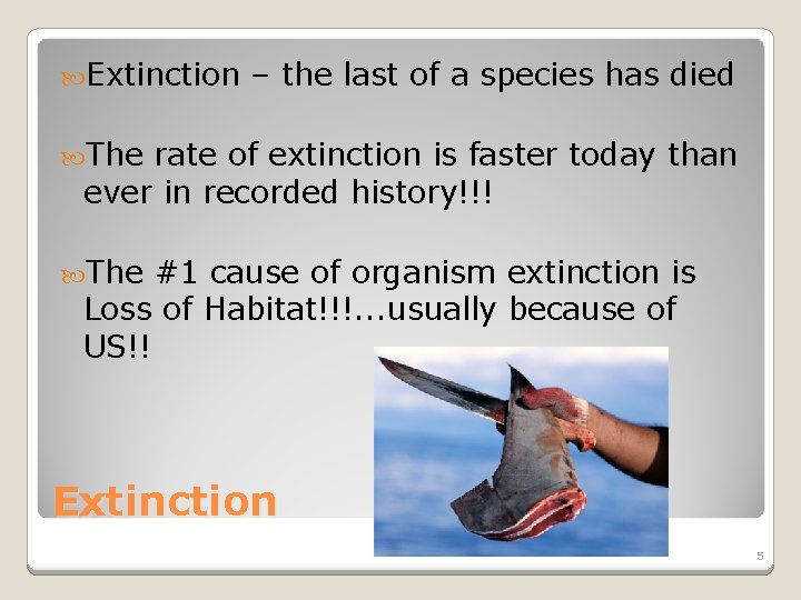 APES Intro A Global Perspective Understanding Our Environment