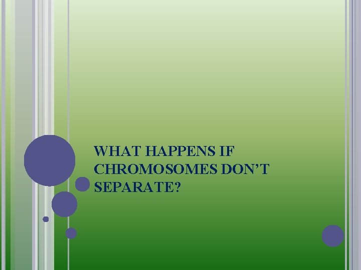 WHAT HAPPENS IF CHROMOSOMES DON’T SEPARATE? 